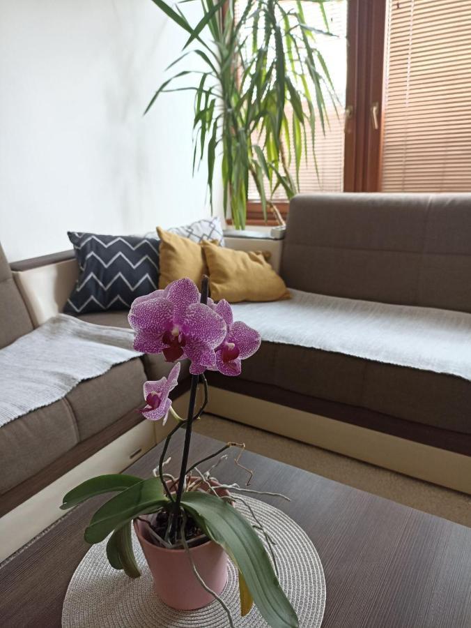 Apartment Bella Casa Free Parking Saraybosna Dış mekan fotoğraf